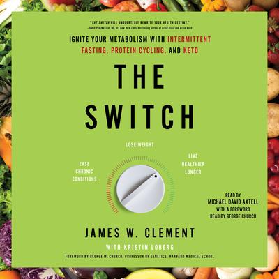 The Switch by James W. Clement audiobook
