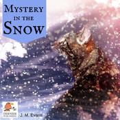 Mystery in the Snow by  J.M. Evans audiobook