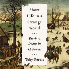 Short Life in a Strange World by Toby Ferris audiobook