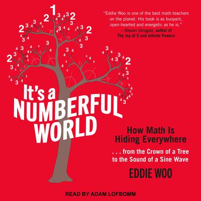 It's a Numberful World by Eddie Woo audiobook