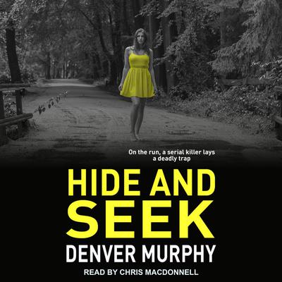 Hide and Seek by Denver Murphy audiobook