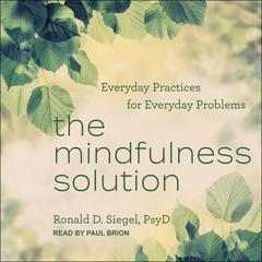 The Mindfulness Solution by Ronald Siegel audiobook
