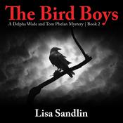 The Bird Boys by  Lisa Sandlin audiobook