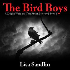 The Bird Boys by Lisa Sandlin audiobook