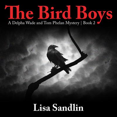 The Bird Boys by Lisa Sandlin audiobook