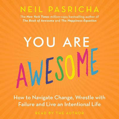You Are Awesome by Neil Pasricha audiobook