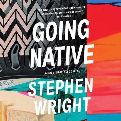 Going Native by Stephen Wright audiobook