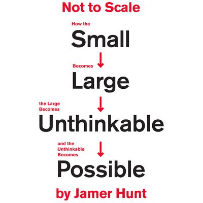 Not to Scale by Jamer Hunt audiobook