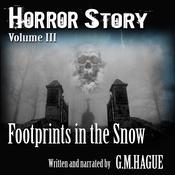 Footprints In The Snow by  G.M.Hague audiobook