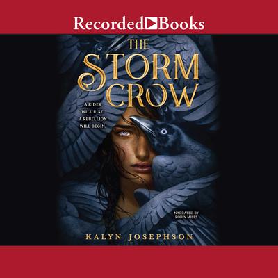 The Storm Crow by Kalyn Josephson audiobook