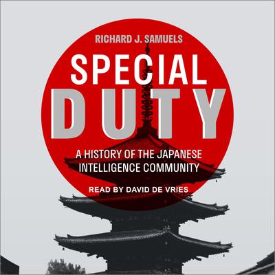 Special Duty by Richard J. Samuels audiobook