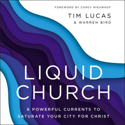 Liquid Church by Tim Lucas audiobook