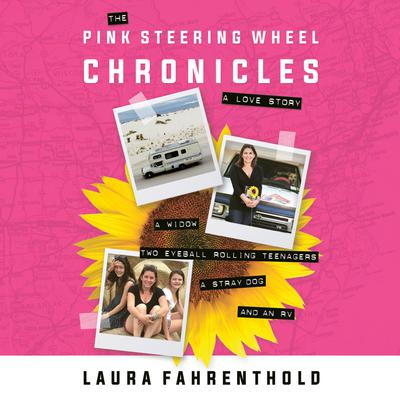 The Pink Steering Wheel Chronicles by Laura Fahrenthold audiobook