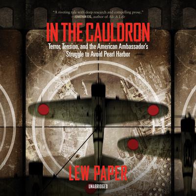 In the Cauldron by Lew Paper audiobook