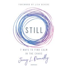 Still by Jenny L. Donnelly audiobook