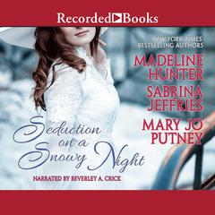 Seduction on a Snowy Night by Mary Jo Putney audiobook