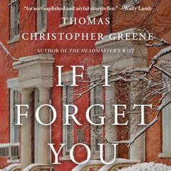 If I Forget You by Thomas Christopher Greene audiobook
