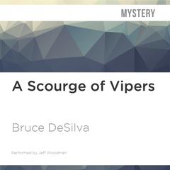 A Scourge of Vipers by Bruce DeSilva audiobook
