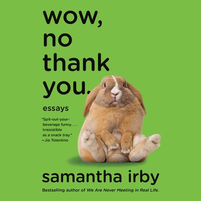 Wow, No Thank You. by Samantha Irby audiobook