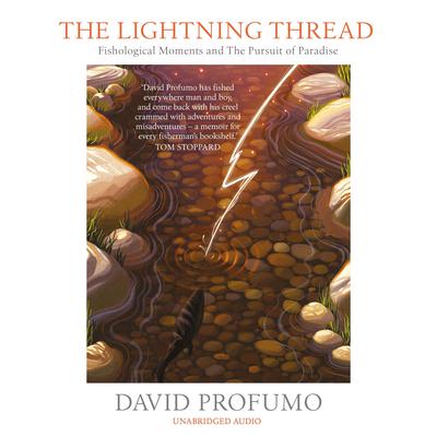 The Lightning Thread by David Profumo audiobook