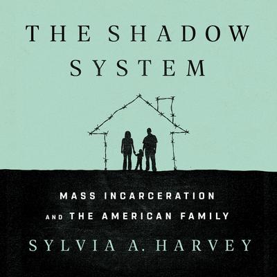 The Shadow System by Sylvia A. Harvey audiobook