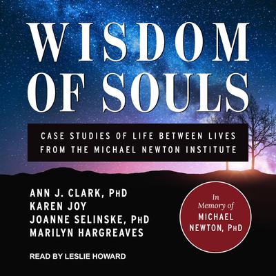 Wisdom of Souls by Ann J. Clark audiobook