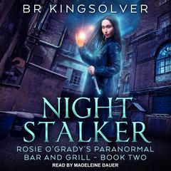 Night Stalker by B.R. Kingsolver audiobook