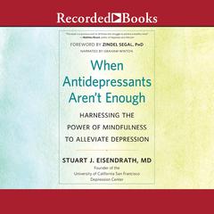 When Antidepressants Aren't Enough by Zindel V. Segal audiobook