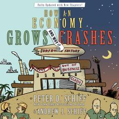 How an Economy Grows and Why It Crashes by Andrew J. Schiff audiobook
