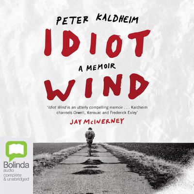 Idiot Wind by Peter Kaldheim audiobook