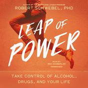 Leap of Power by  Robert Schwebel PhD audiobook