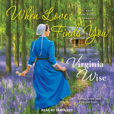 When Love Finds You by Virginia Wise audiobook