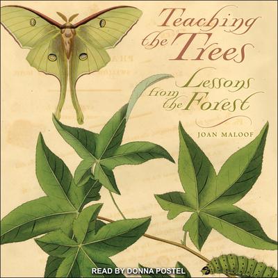 Teaching the Trees by Joan Maloof audiobook