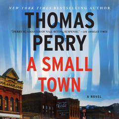 A Small Town by Thomas Perry audiobook