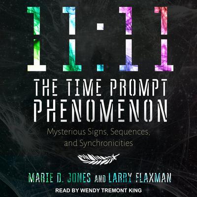 11:11 The Time Prompt Phenomenon by Marie D. Jones audiobook