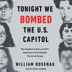 Tonight We Bombed The U.S. Capitol by William Rosenau audiobook
