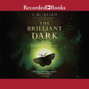 The Brilliant Dark by  S.M. Beiko audiobook