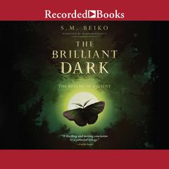 The Brilliant Dark by S.M. Beiko audiobook