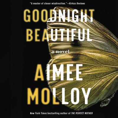 Goodnight Beautiful by Aimee Molloy audiobook