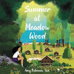 Summer at Meadow Wood by Amy Rebecca Tan audiobook