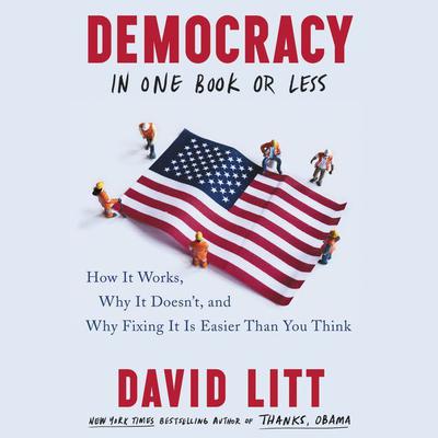 Democracy in One Book or Less by David Litt audiobook
