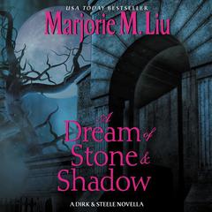 A Dream of Stone & Shadow by Marjorie M. Liu audiobook