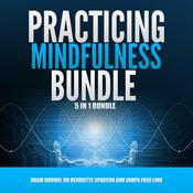 Practicing Mindfulness Bundle by  Adam Brown audiobook