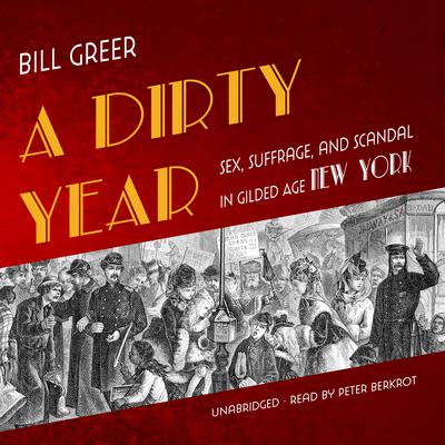 A Dirty Year by Bill Greer audiobook