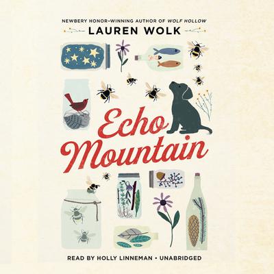 Echo Mountain by Lauren Wolk audiobook