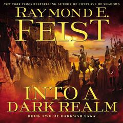 Into a Dark Realm by Raymond E. Feist audiobook