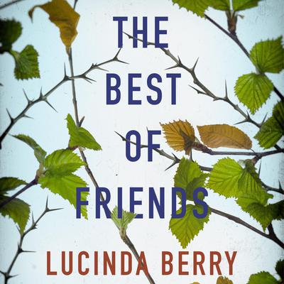 The Best of Friends by Lucinda Berry audiobook