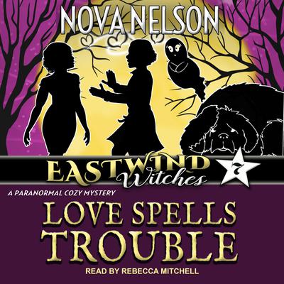 Love Spells Trouble by Nova Nelson audiobook