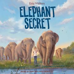Elephant Secret by Eric Walters audiobook