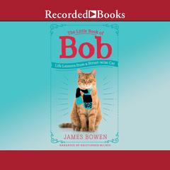 The Little Book of Bob by James Bowen audiobook